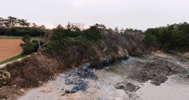 Coastal Cliffs with Lush Greenery and Ocean View