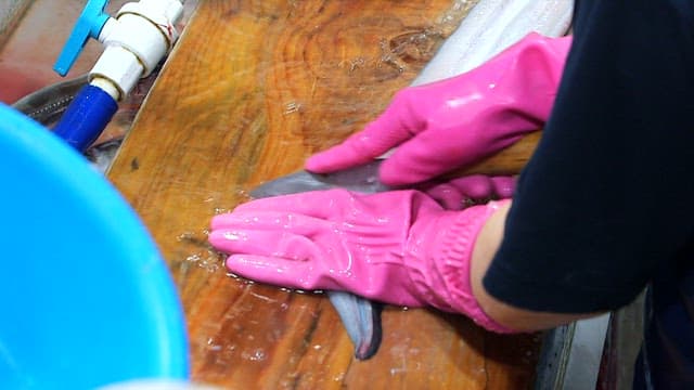 Fresh eel being neatly sliced ​​with a knife on a wooden cutting board