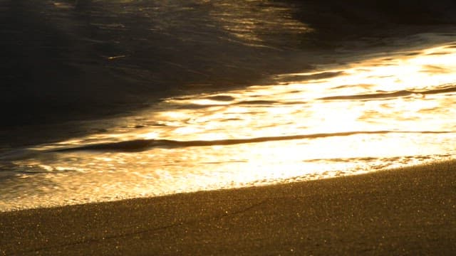 Golden sea waves during sunset