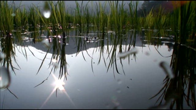 Underwater landscape with dirt floor under cold water in the field