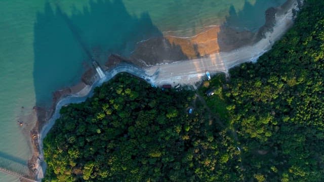 Aerial view of a beach and forest