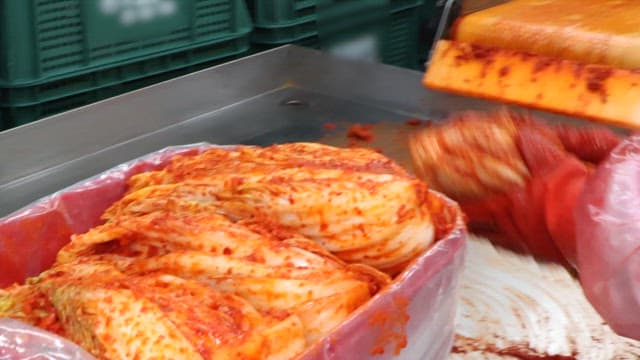 Worker making kimchi from cabbage at a food factory