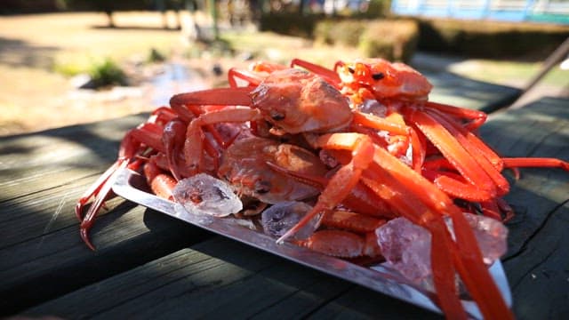 Plated red snow crab and crab meat on a wooden table outdoors