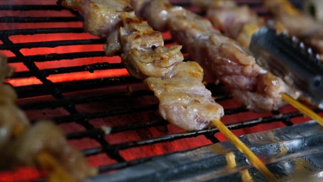 Skewered meat grilling over hot coals