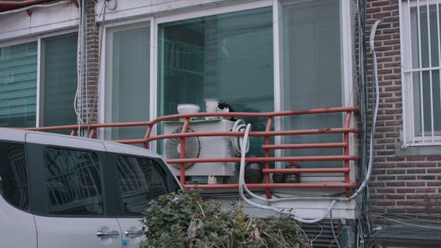 Cat resting on a balcony in the city