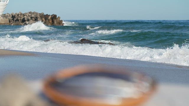 Basket of fresh fish on a beach with waves crashing on a sunny day