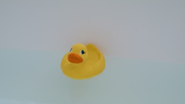 Rubber Duck Floating in the Bathtub