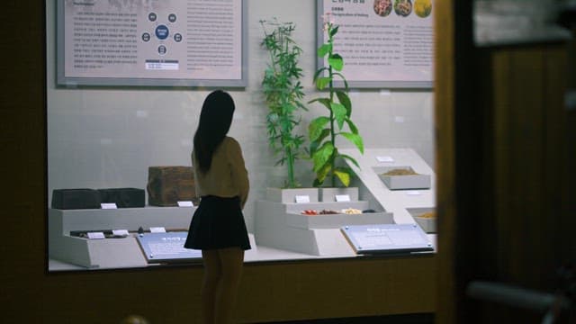 Woman Viewing Exhibits at a Museum