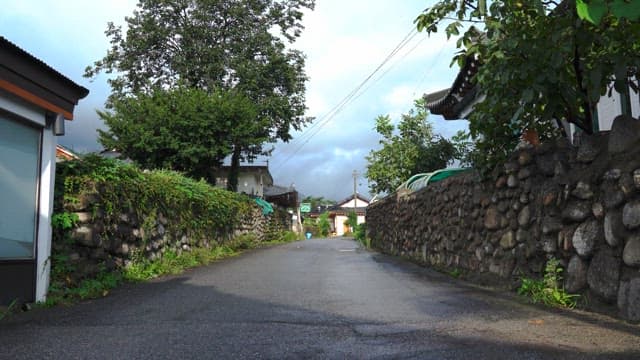 Traditional house in lush green space with sunlight shining through