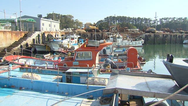 Docked fishing boats at a coastal harbor