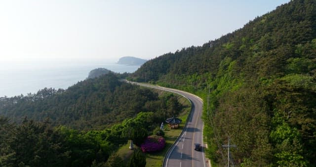 Scenic Coastal Road by Lush Hills