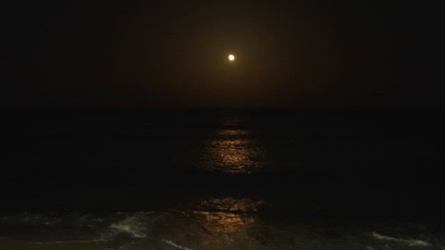 Moonlit beach with gentle waves at night