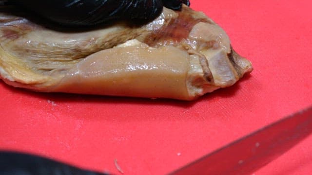 Slicing cooked ribs on a red cutting board with precision