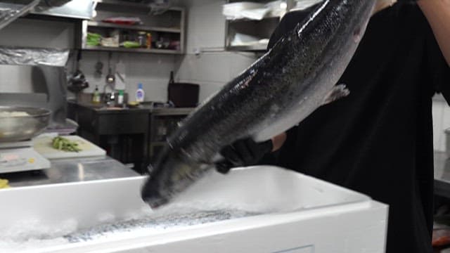 Preparing Fresh Salmon in a Kitchen