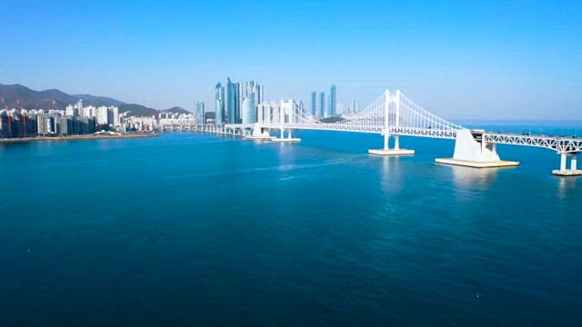 Aerial View of a Bridge Over Ocean in a City