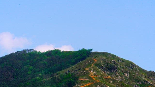 Green-covered mountains under a clear blue sky