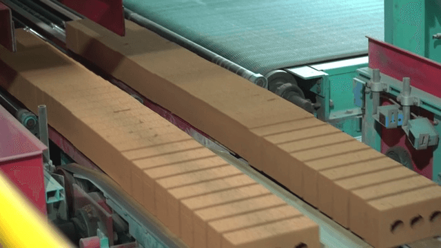 Bricks moving on a conveyor belt