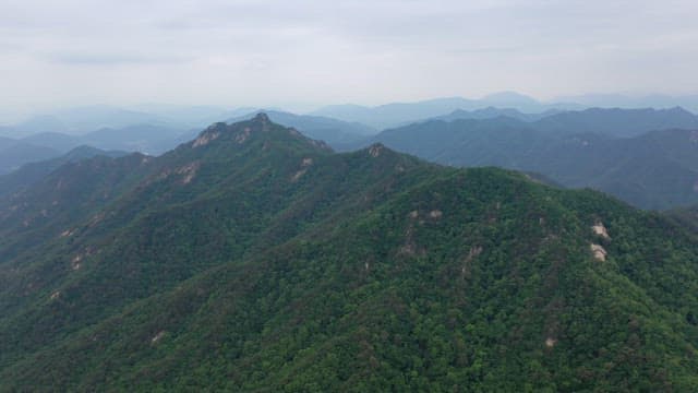 Serene Mountain Range with Lush Greenery