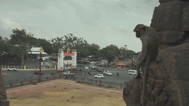 Monkey sitting on a rock in the center of a busy street