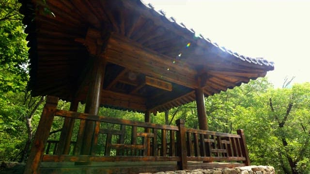 Serene traditional wooden pavilion in the forest