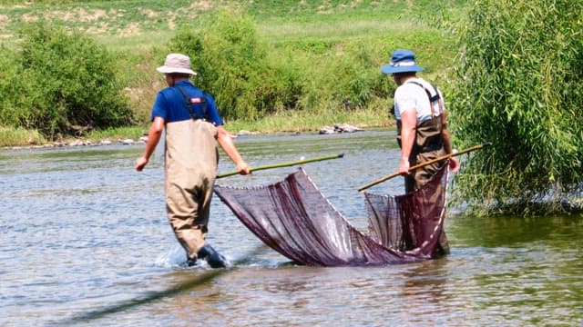 Two People Fishing with a Net in a River