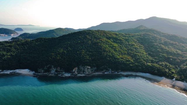 Serene beach with surrounding forest
