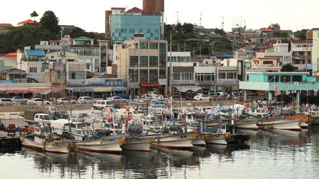 Fishing Boats anchored in a Calm Harbor