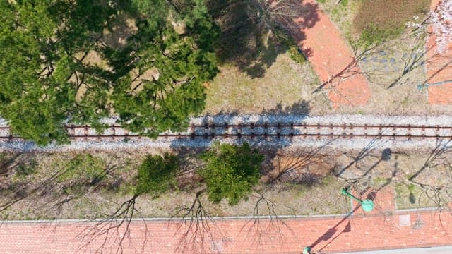 Railroad tracks surrounded by trees