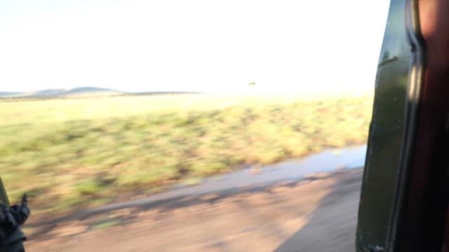 Scenic View From A Moving Vehicle