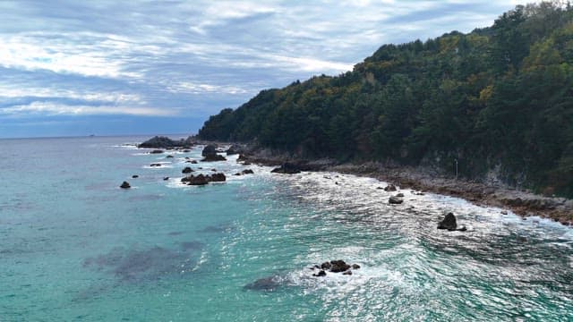 Rocky coastline with lush green forest