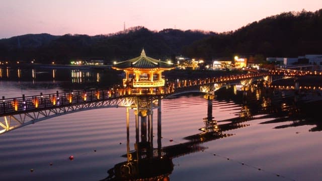 Beautifully lit bridge at night