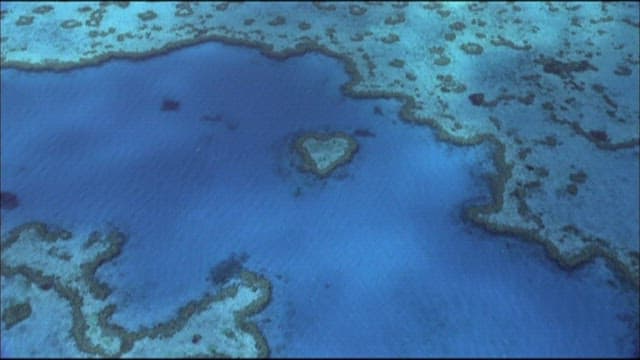 Heart shaped reef island