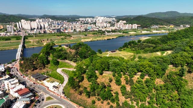 Lush green forest with a city in the background