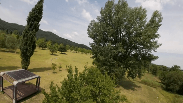 Spacious park with lush green trees