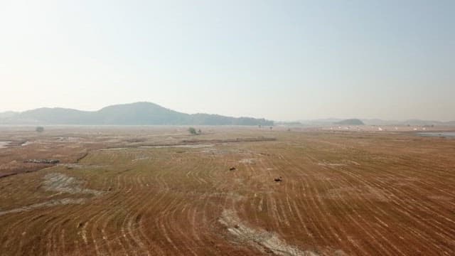 Vast, desolate field under a clear sky