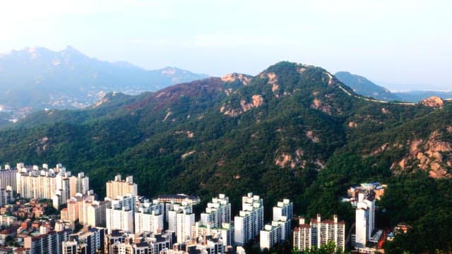 Cityscape with Scenic Mountain Backdrop