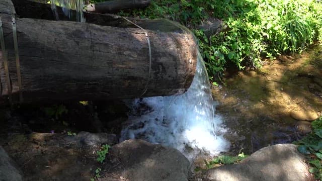 Traditional Watermill in a Lush Forest