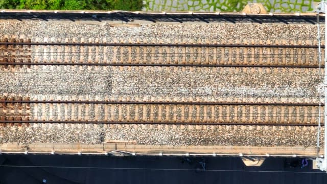 Railway tracks with surrounding greenery
