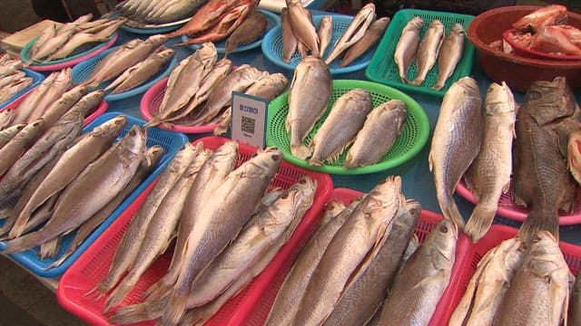 Seafood variety displayed at a market stall