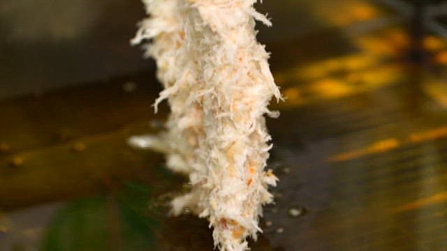 The process of frying pork cutlet