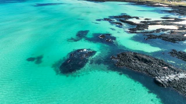 Coastal landscape with wind turbines