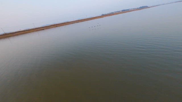 Serene Lake Scene with Flock of Birds and Sunset