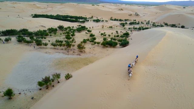 People riding camels in a vast desert