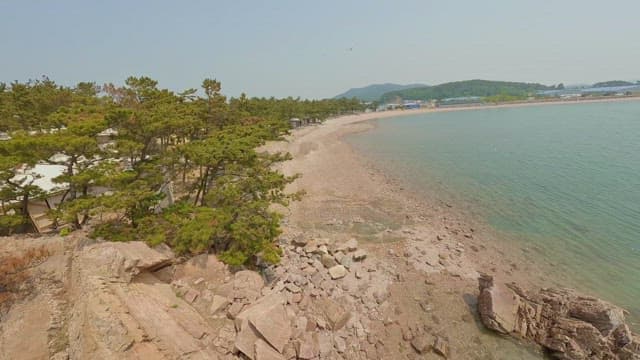 Serene beach with clear sea and trees