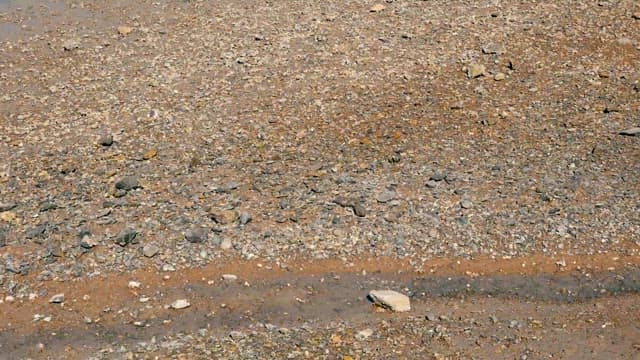 Tranquil Coastal Landscape at Low Tide