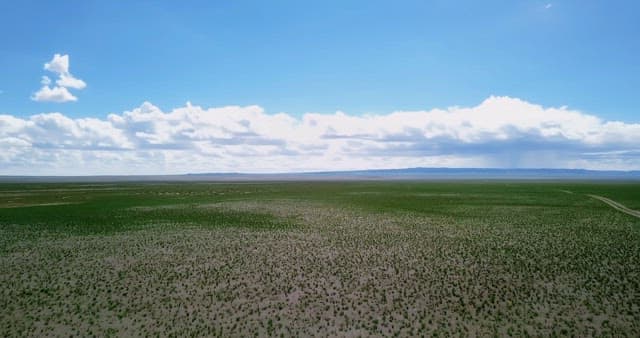 Vast green landscape under a blue sky