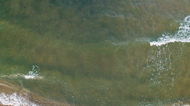 Waves Crashing on a Vast Beach