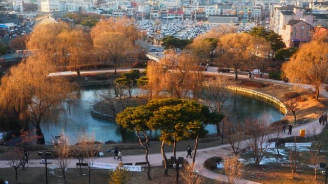 Serene park with a pond in the city