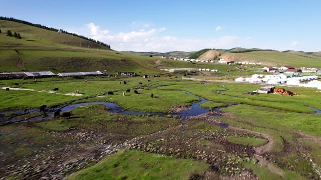Wide and Lush Pasture with Livestock