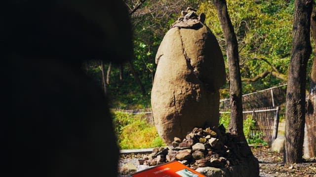 Lush trees and greenery surrounding the stone tower